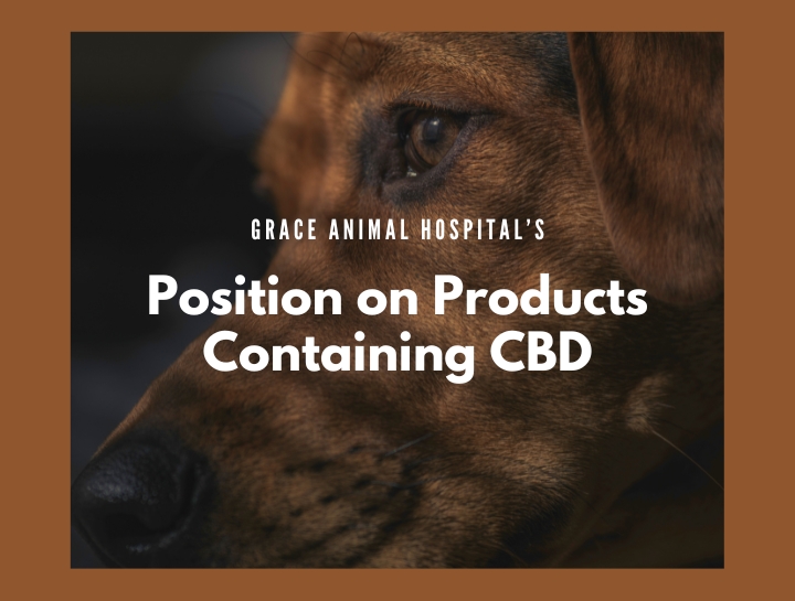 Grace Animal Hospital's position on products containing CBD